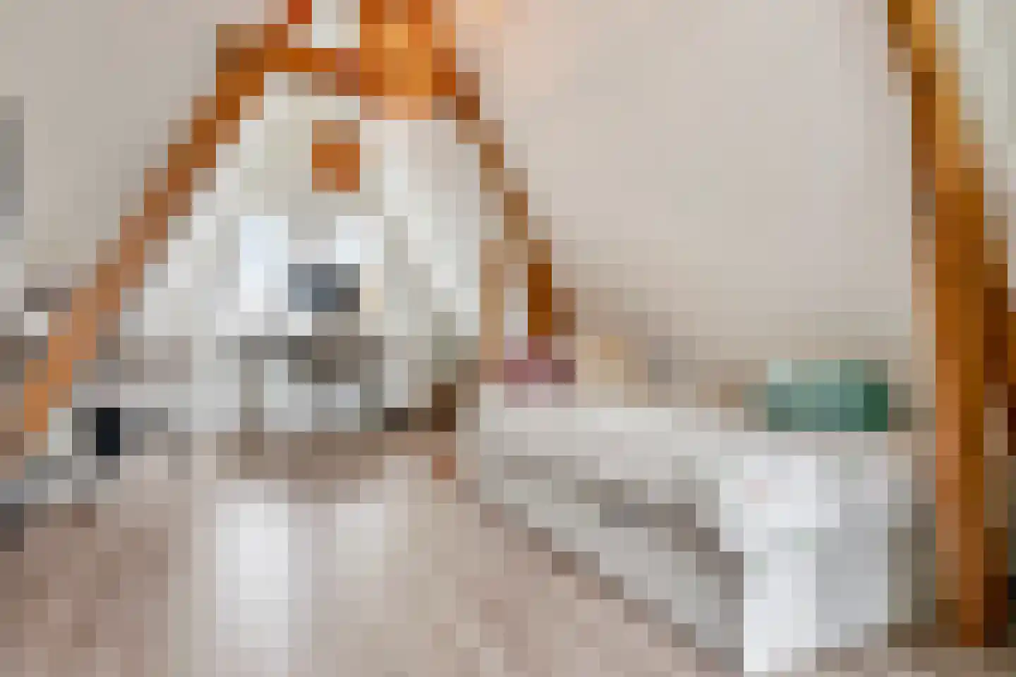 Sint Ceciliastraat 53 Tilburg thumbnail 31