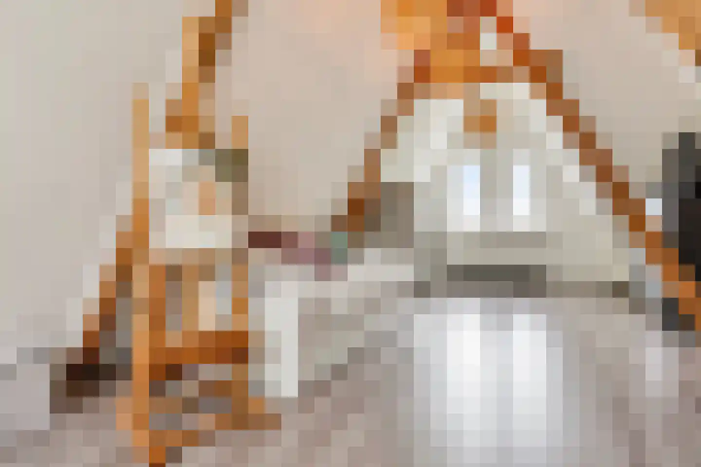 Sint Ceciliastraat 53 Tilburg thumbnail 32