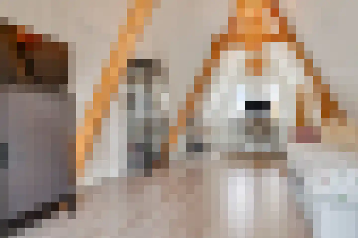 Sint Ceciliastraat 53 Tilburg thumbnail 34