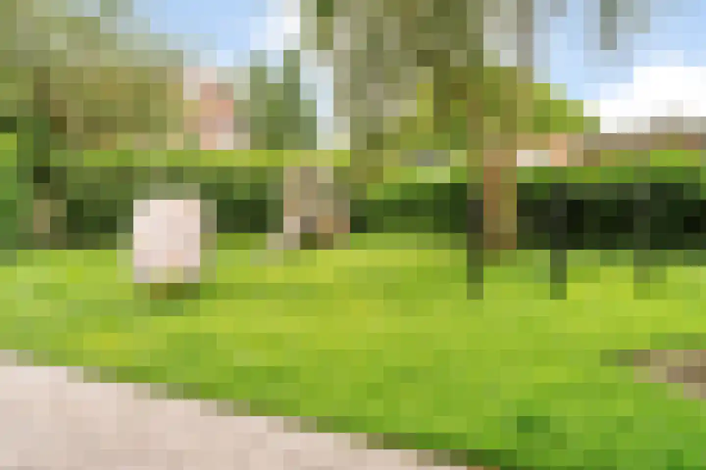 Sint Ceciliastraat 53 Tilburg thumbnail 43