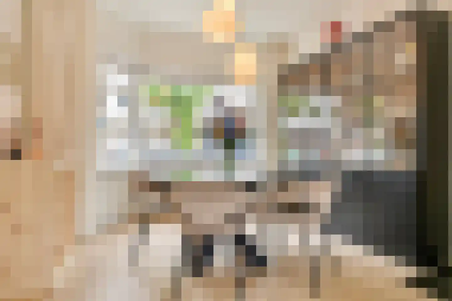 Sint Ceciliastraat 53 Tilburg thumbnail 7