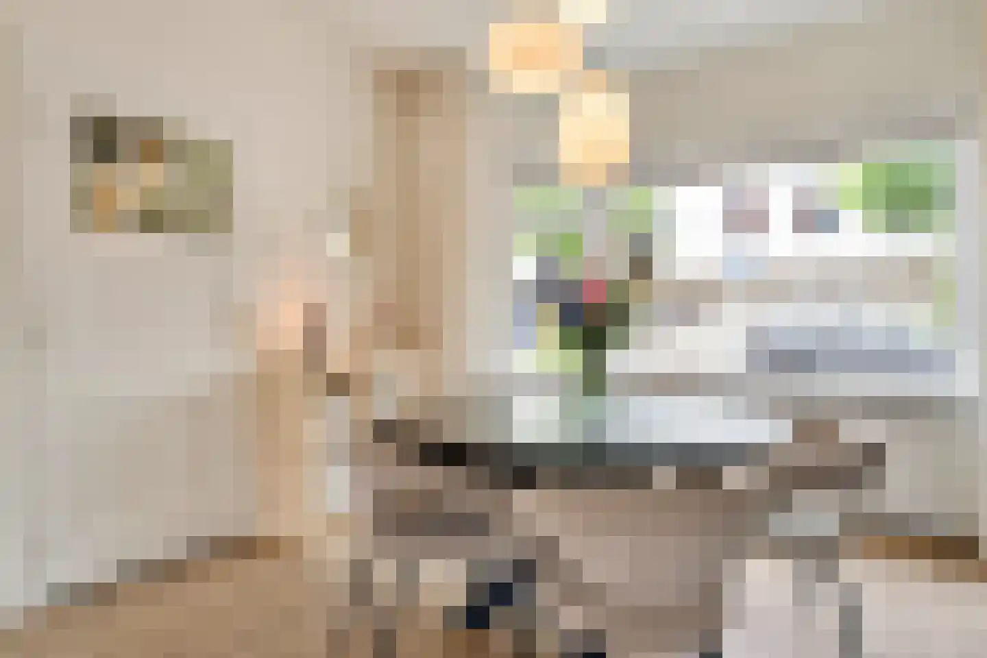 Sint Ceciliastraat 53 Tilburg thumbnail 9