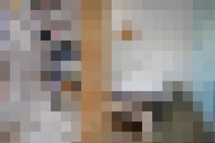 Sint Corneliusstraat 1 Tilburg thumbnail 17