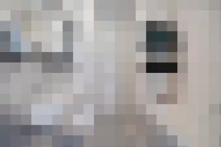 Sint Corneliusstraat 1 Tilburg thumbnail 19