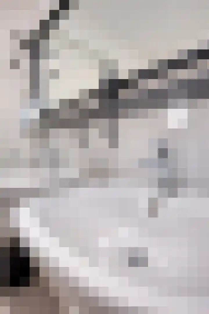 Sint Corneliusstraat 1 Tilburg thumbnail 22