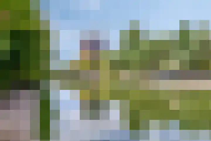 Sint Corneliusstraat 1 Tilburg thumbnail 32