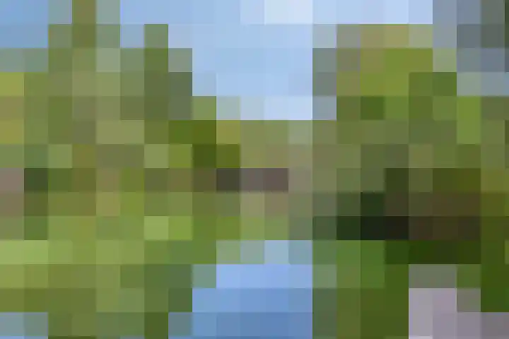 Sint Corneliusstraat 1 Tilburg thumbnail 33