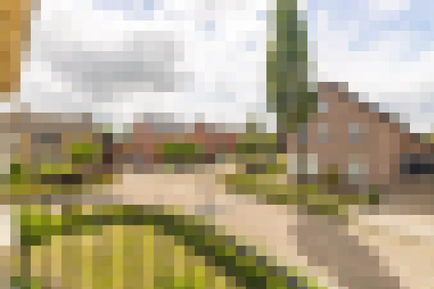 Sint Corneliusstraat 19 Achtmaal thumbnail 23