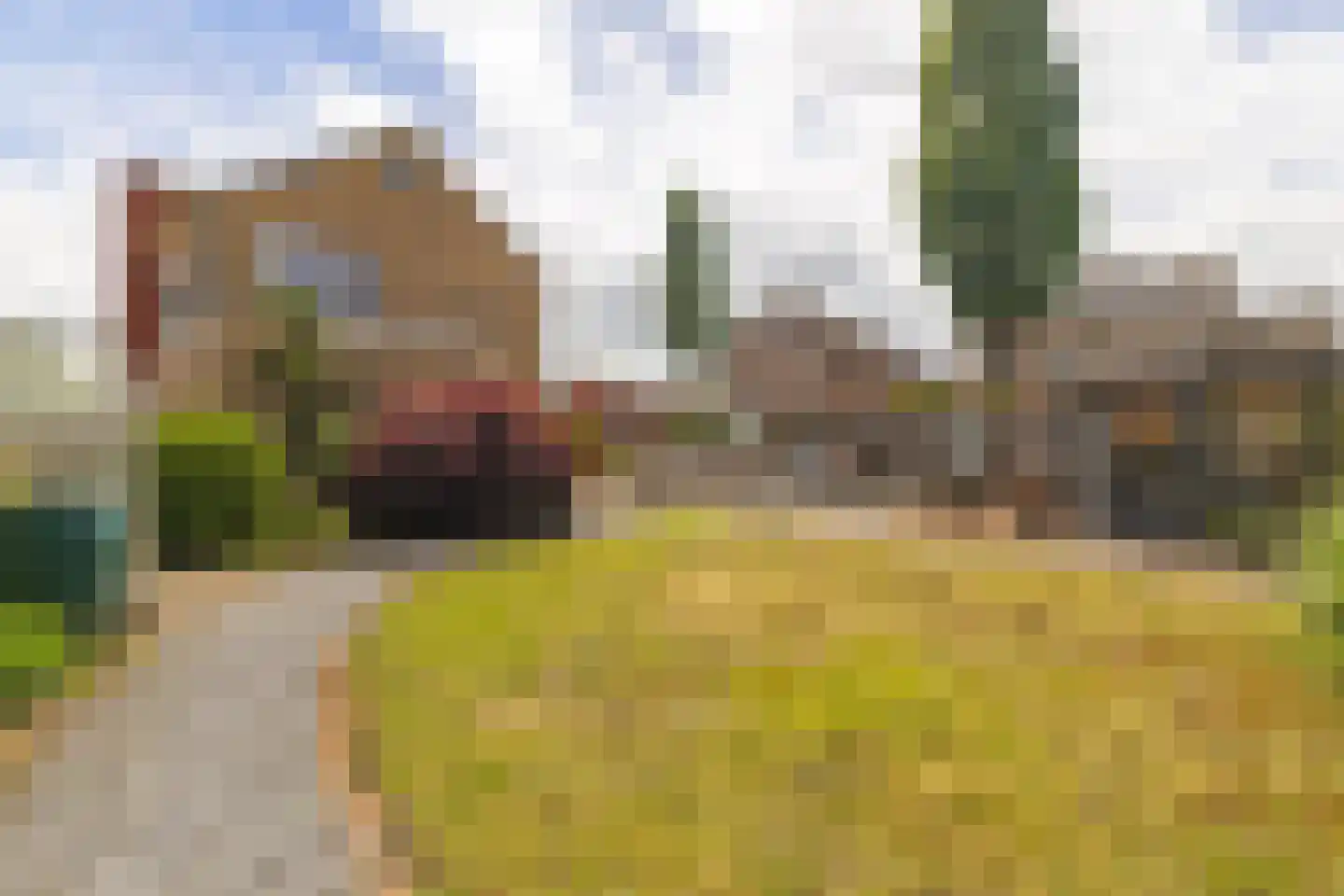 Sint Corneliusstraat 19 Achtmaal thumbnail 34