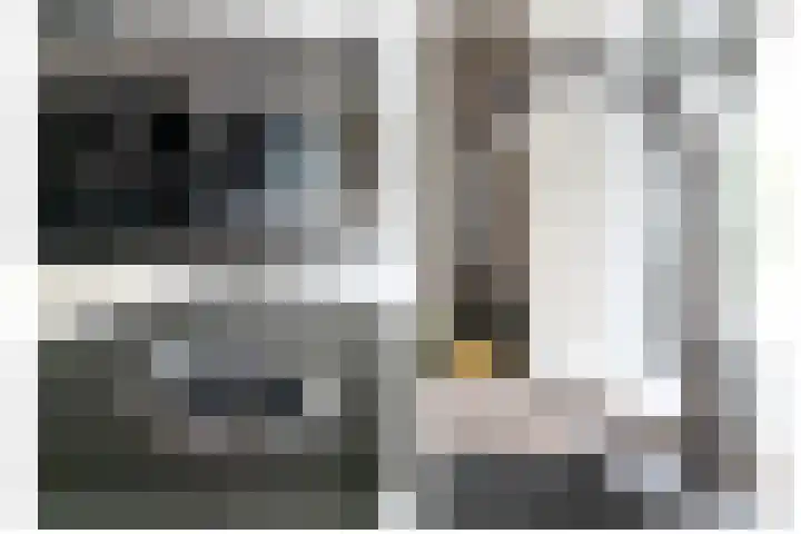 Sint Corneliusstraat 21 Tilburg thumbnail 10