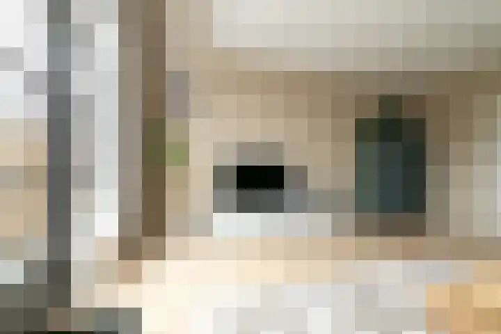 Sint Corneliusstraat 21 Tilburg thumbnail 17