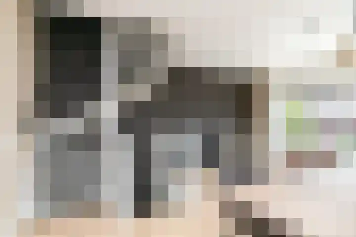 Sint Corneliusstraat 21 Tilburg thumbnail 21