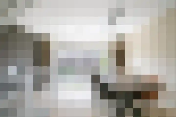 Sint Corneliusstraat 21 Tilburg thumbnail 22