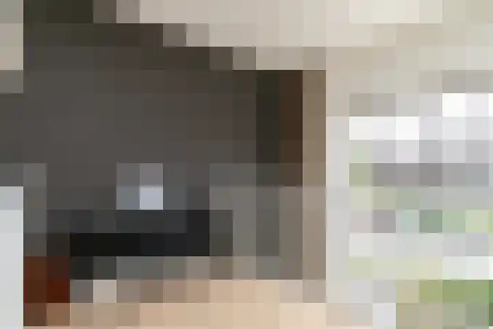 Sint Corneliusstraat 21 Tilburg thumbnail 23