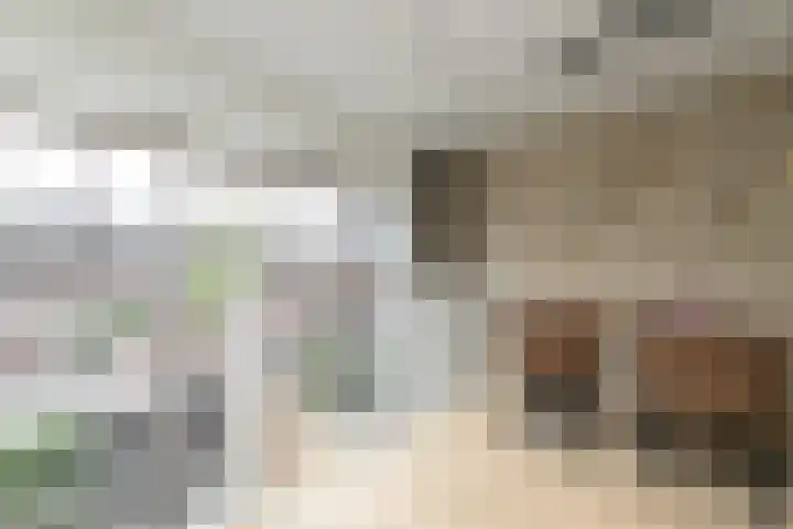 Sint Corneliusstraat 21 Tilburg thumbnail 25