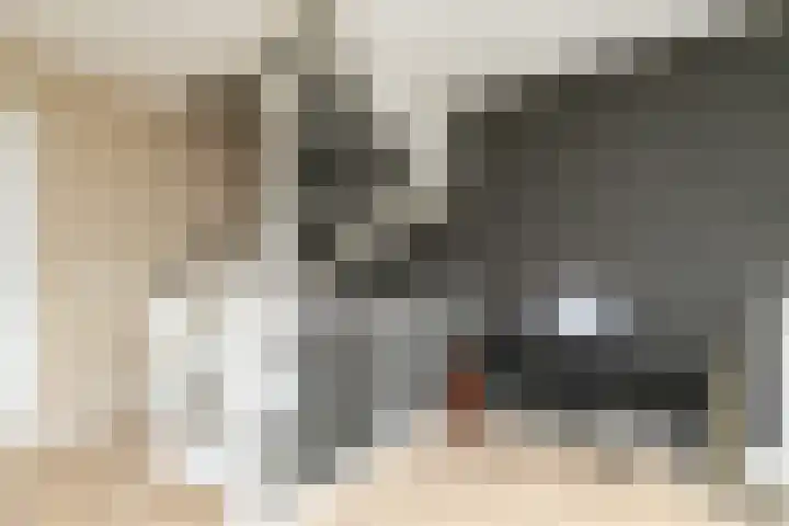 Sint Corneliusstraat 21 Tilburg thumbnail 26