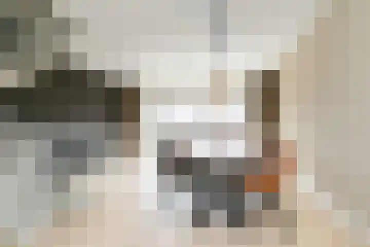 Sint Corneliusstraat 21 Tilburg thumbnail 27