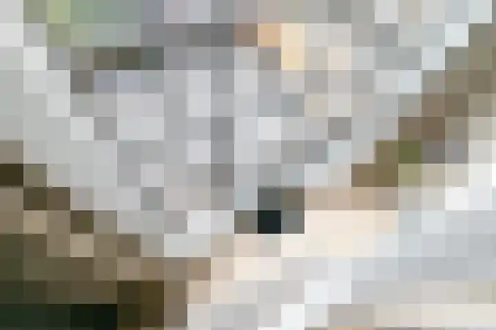 Sint Corneliusstraat 21 Tilburg thumbnail 28