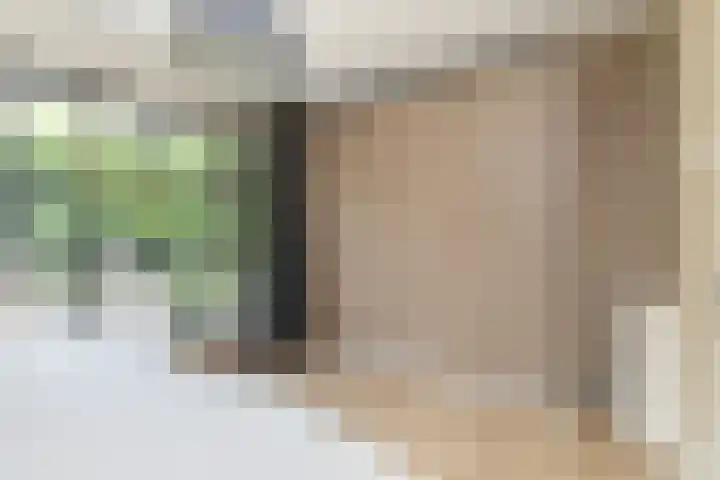 Sint Corneliusstraat 21 Tilburg thumbnail 34