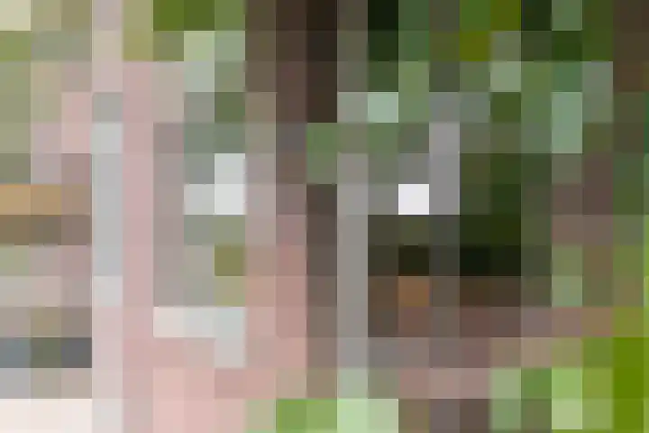 Sint Corneliusstraat 21 Tilburg thumbnail 4