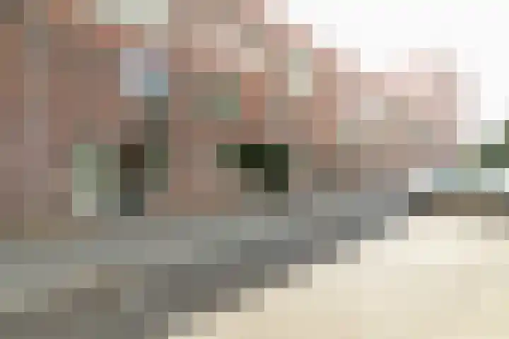 Sint Corneliusstraat 21 Tilburg thumbnail 5