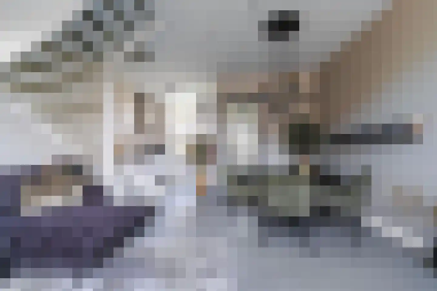 Sint Corneliusstraat 29 Tilburg thumbnail 10