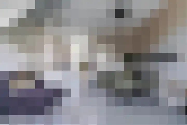 Sint Corneliusstraat 29 Tilburg thumbnail 10
