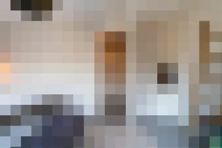 Sint Corneliusstraat 29 Tilburg thumbnail 22