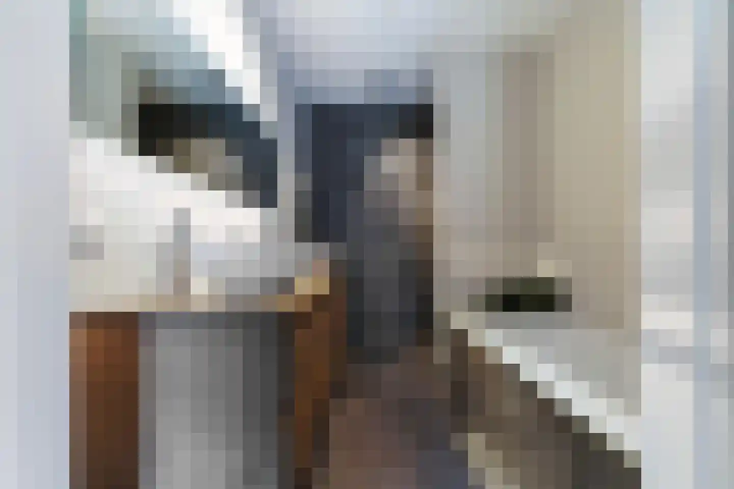 Sint Corneliusstraat 29 Tilburg thumbnail 25