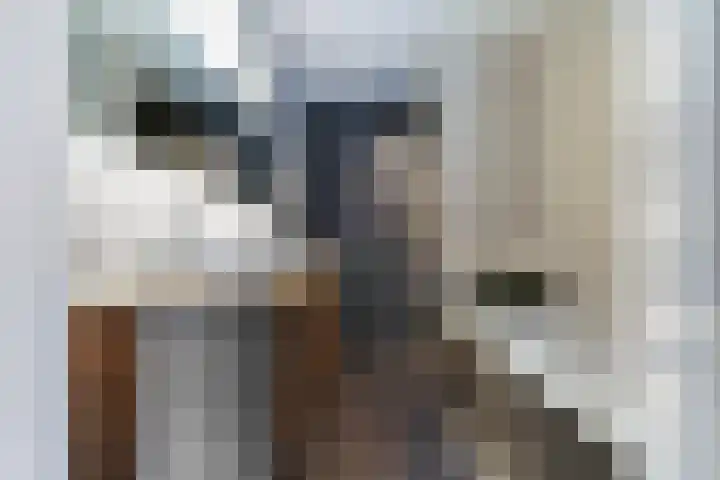 Sint Corneliusstraat 29 Tilburg thumbnail 25