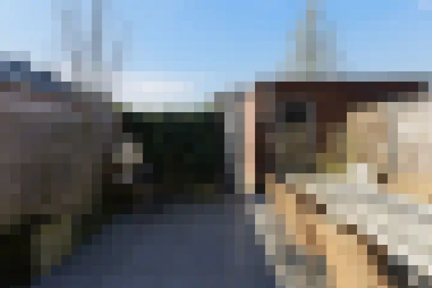 Sint Corneliusstraat 29 Tilburg thumbnail 39