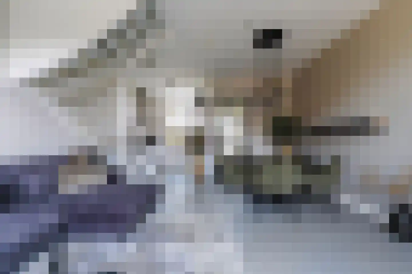 Sint Corneliusstraat 29 Tilburg thumbnail 4