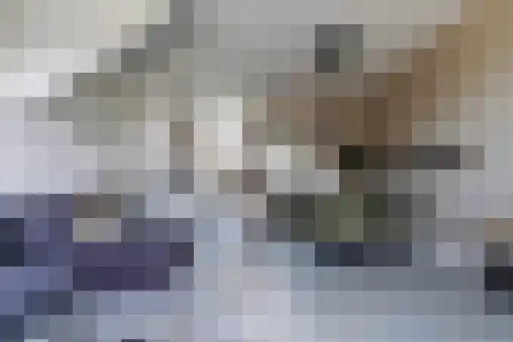 Sint Corneliusstraat 29 Tilburg thumbnail 4