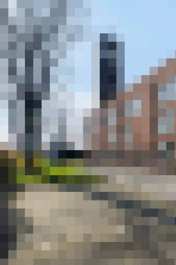 Sint Corneliusstraat 29 Tilburg thumbnail 45