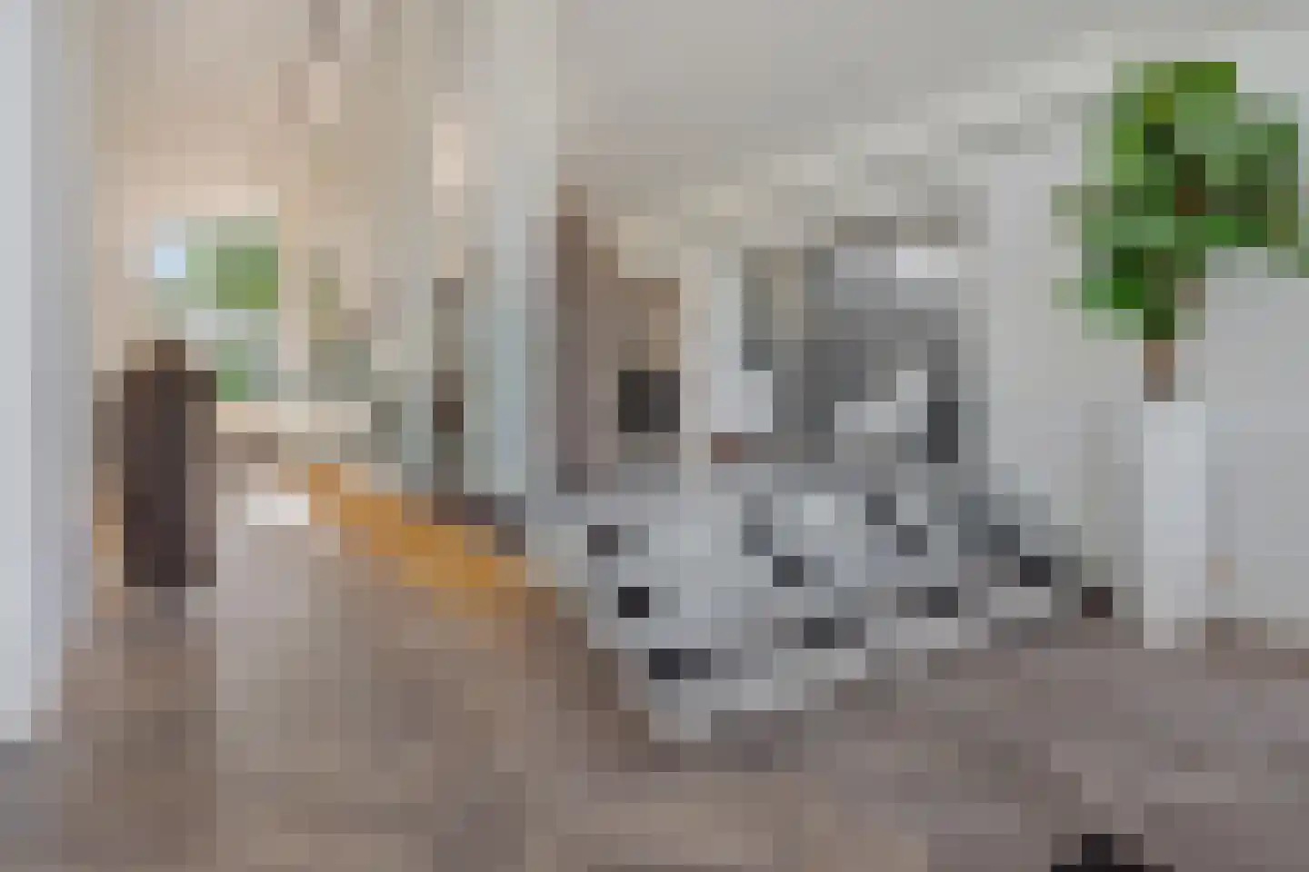 Sint Corneliusweg 20 's-Hertogenbosch thumbnail 46