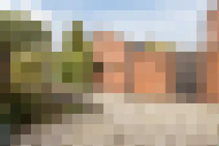 Sint Dionysiusstraat 23 Putte thumbnail 26