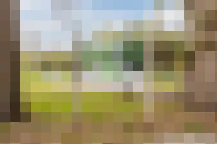 Sint Dionysiusstraat 23 Putte thumbnail 31