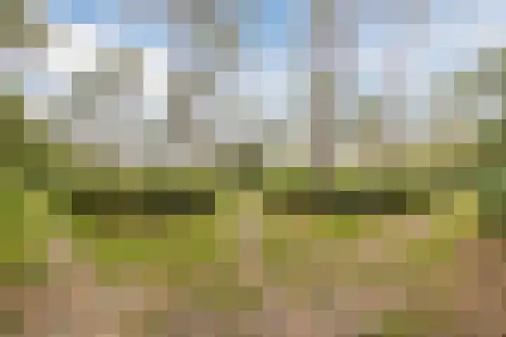 Sint Dionysiusstraat 23 Putte thumbnail 32