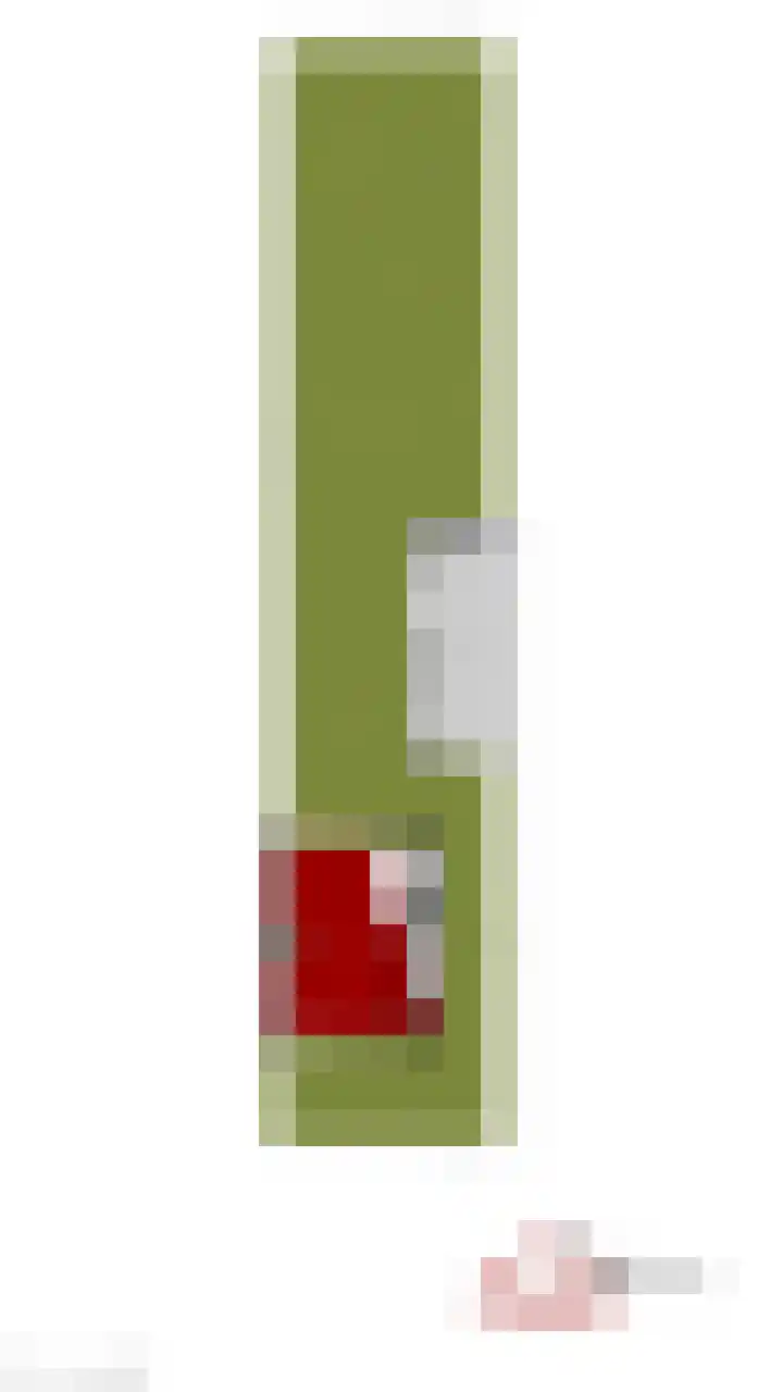 Sint Dionysiusstraat 23 Putte thumbnail 37