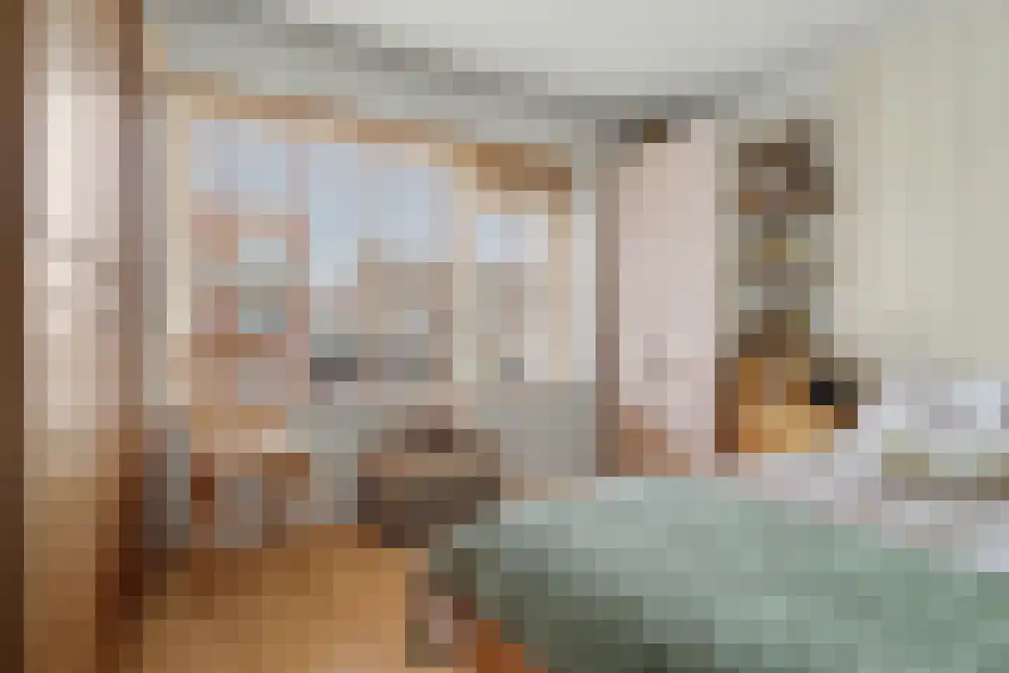 Sint Dionysiusstraat 31 Putte thumbnail 21
