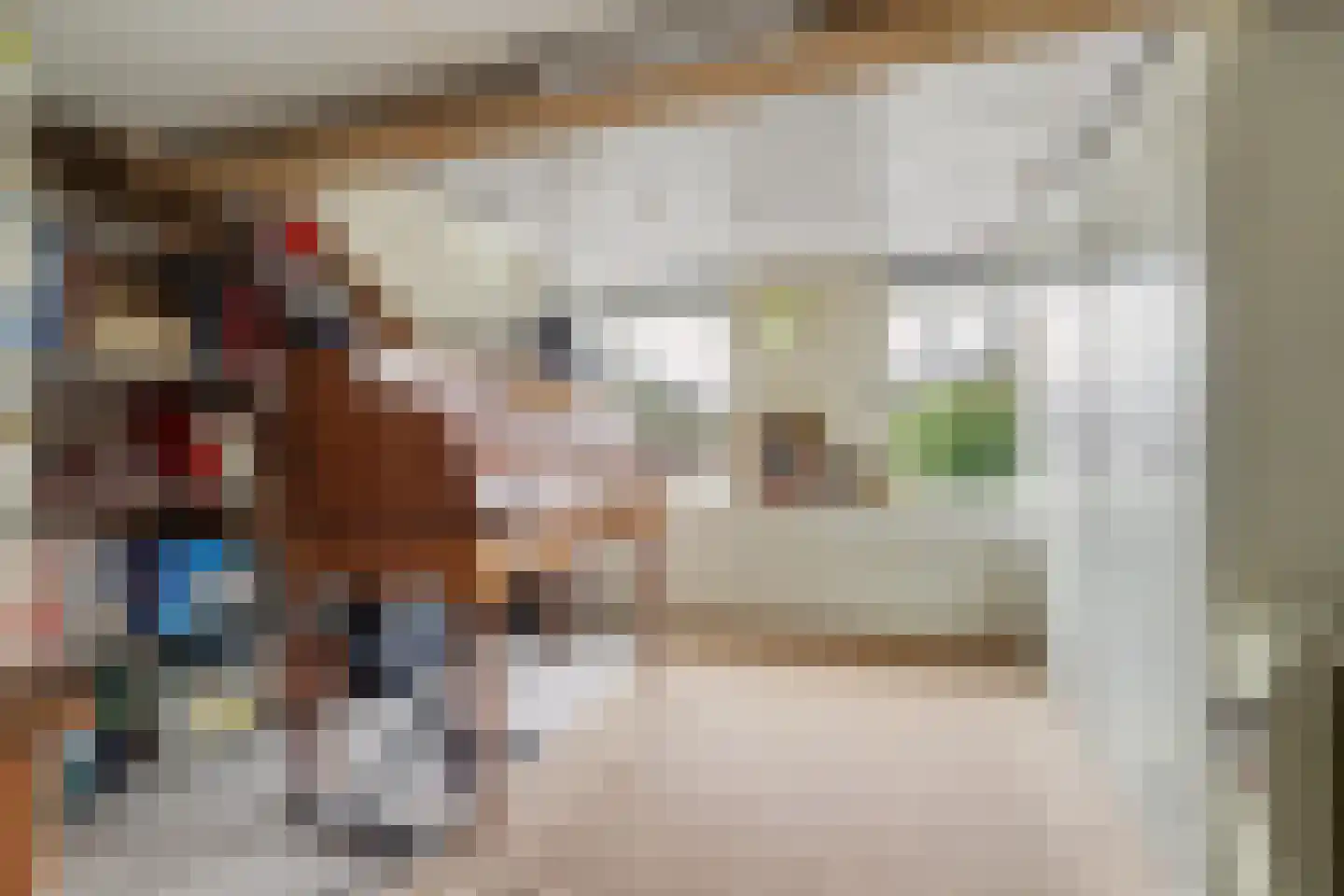 Sint Dionysiusstraat 31 Putte thumbnail 27