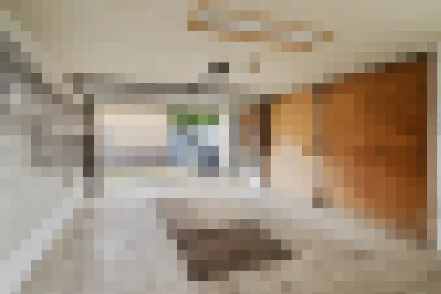 Sint Dionysiusstraat 31 Putte thumbnail 32