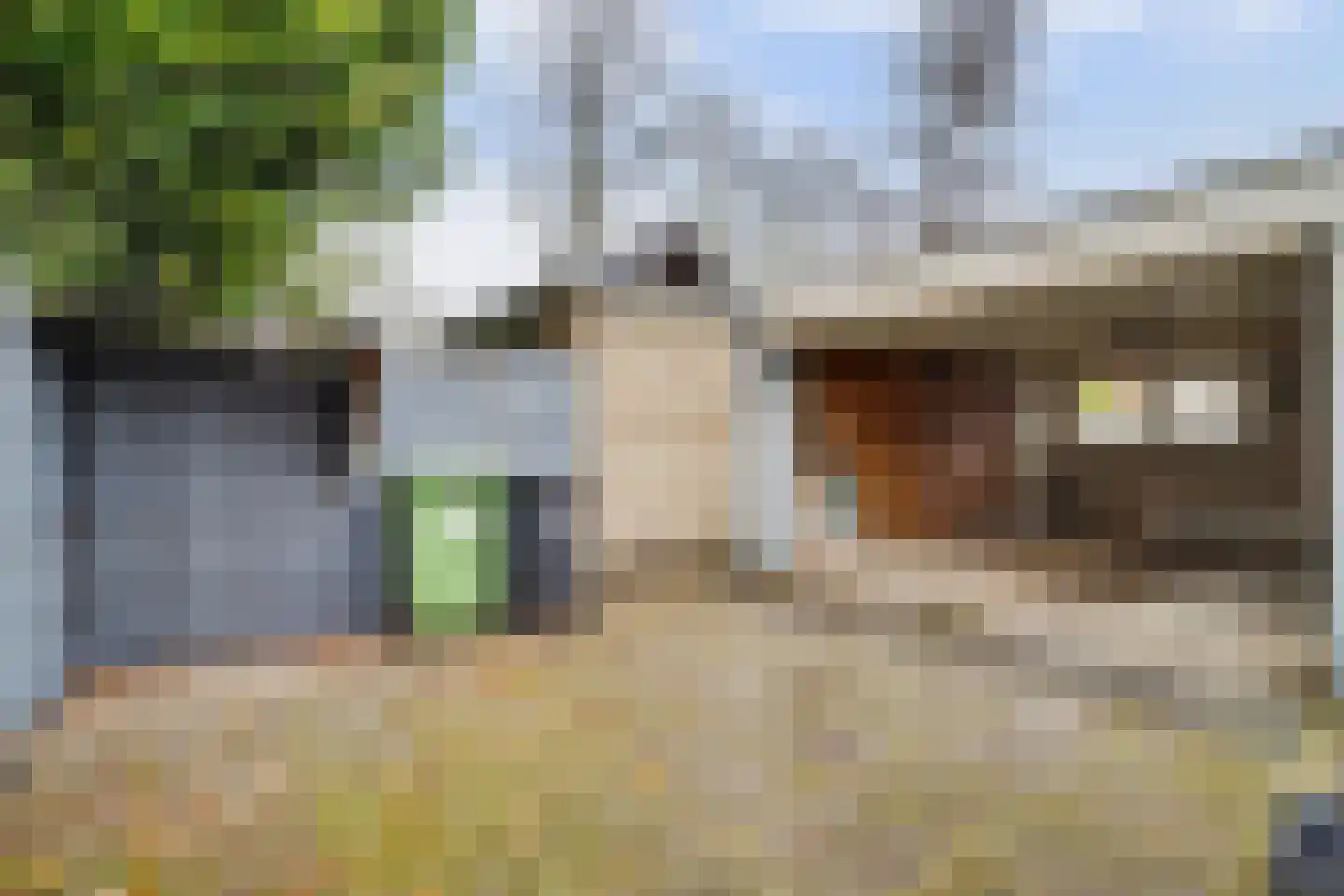 Sint Dionysiusstraat 31 Putte thumbnail 33