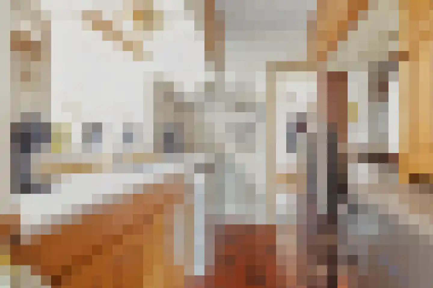 Sint Dionysiusstraat 31 Putte thumbnail 7