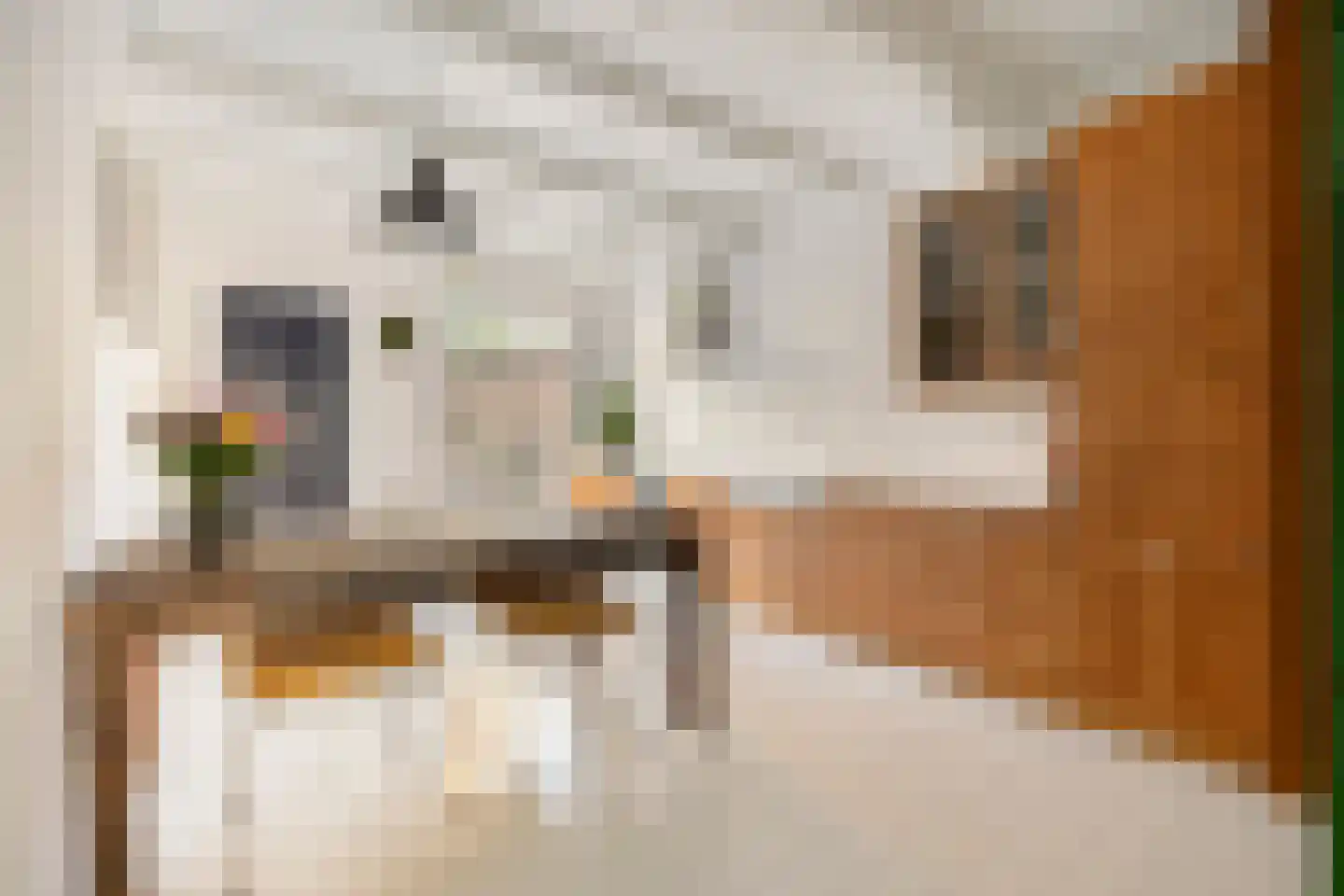 Sint Domusstraat 15 Zierikzee thumbnail 10