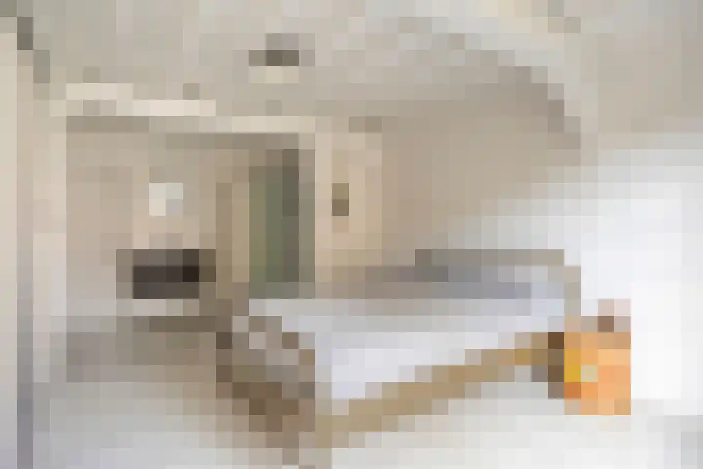 Sint Domusstraat 15 Zierikzee thumbnail 20