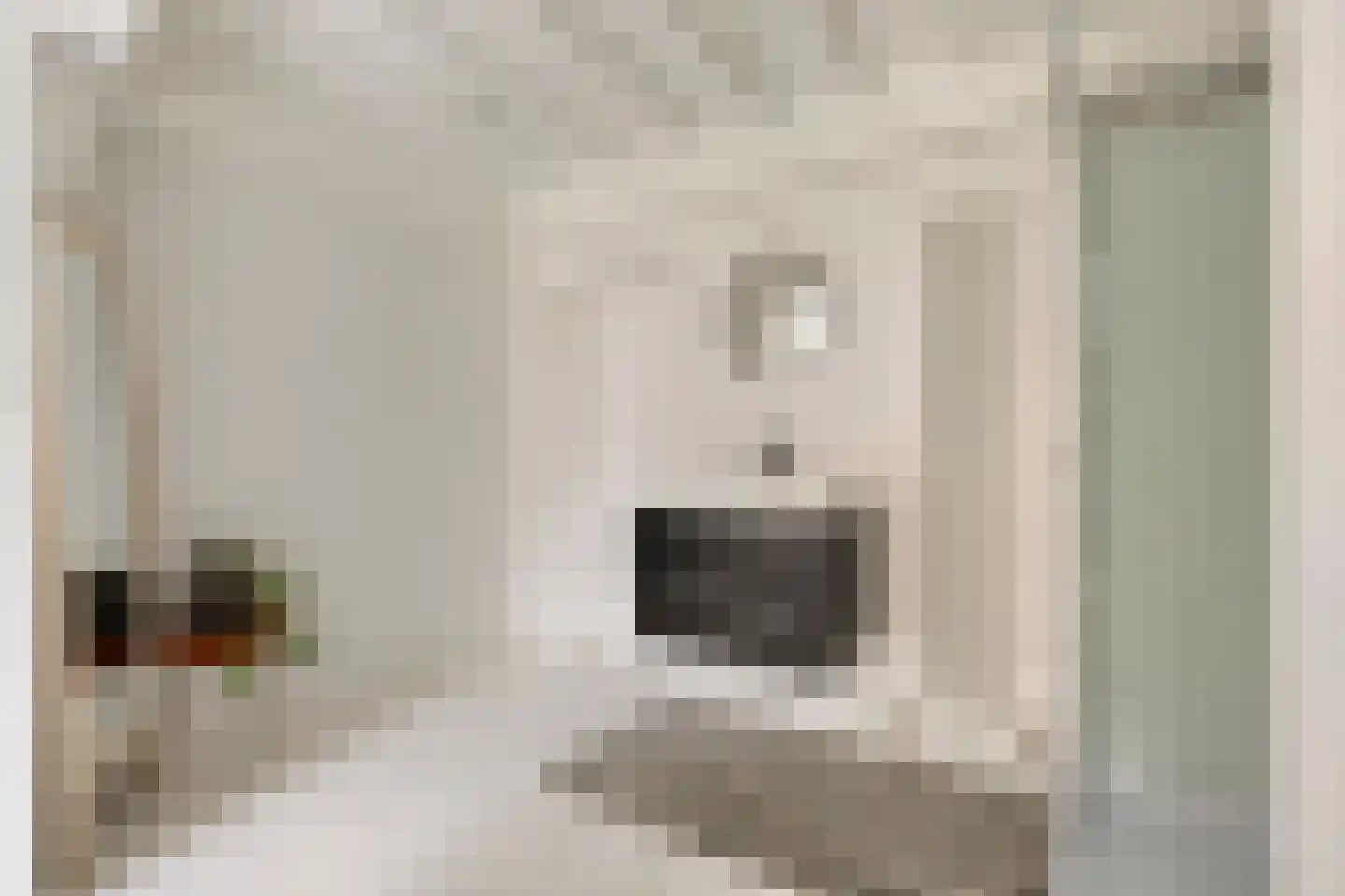 Sint Domusstraat 15 Zierikzee thumbnail 22