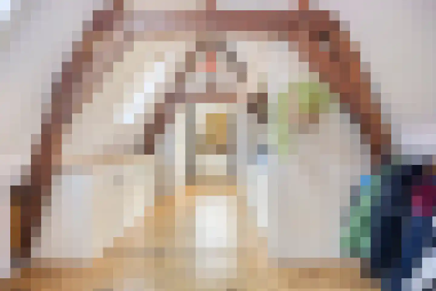 Sint Domusstraat 15 Zierikzee thumbnail 26