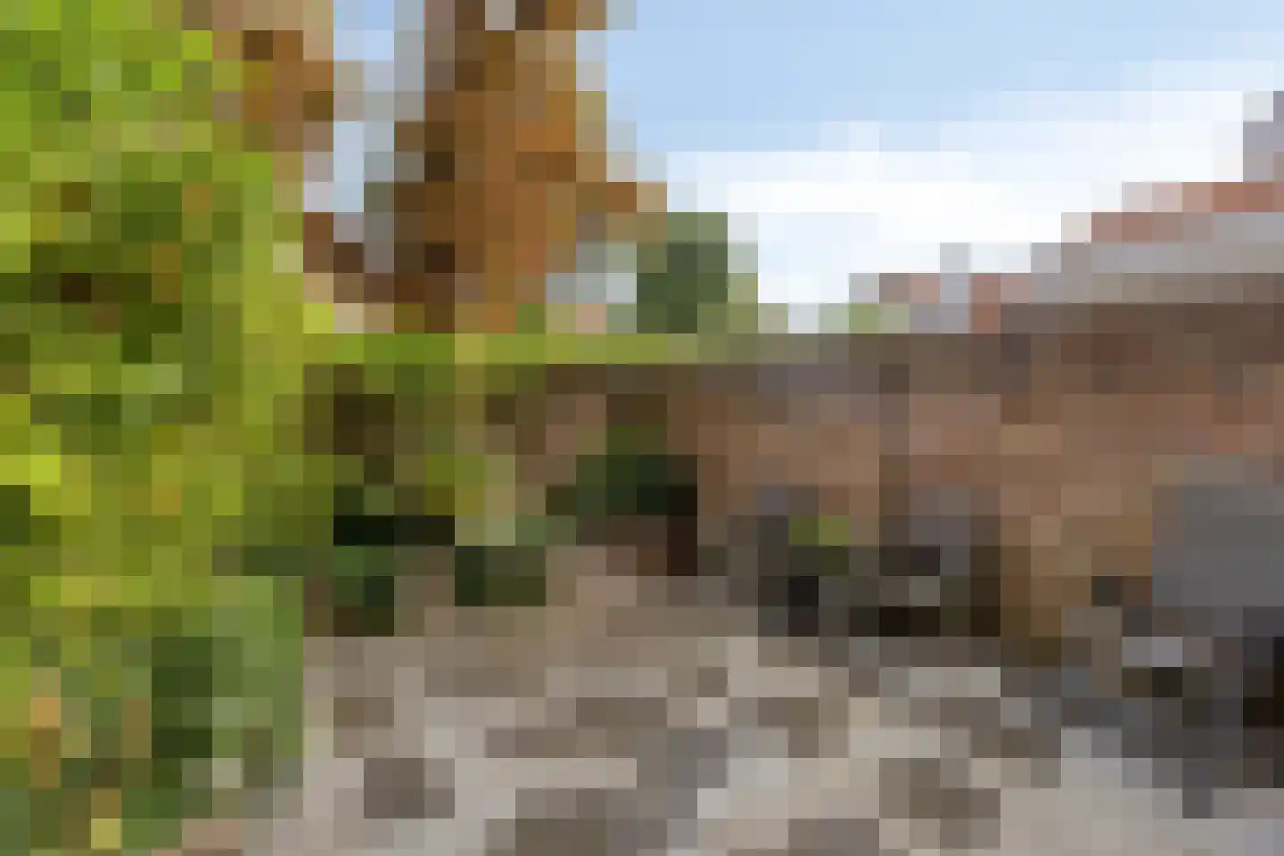Sint Domusstraat 15 Zierikzee thumbnail 30