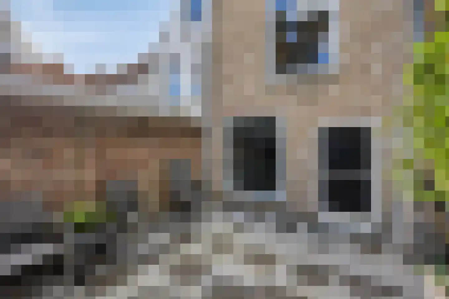 Sint Domusstraat 15 Zierikzee thumbnail 31
